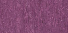 Purple 0255