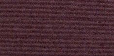 11580 dutchess purple