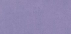 26537 lilac accent