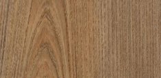 Wood | 18382 chestnut