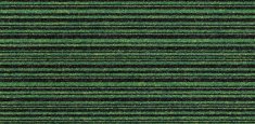 21905 apple green stripe